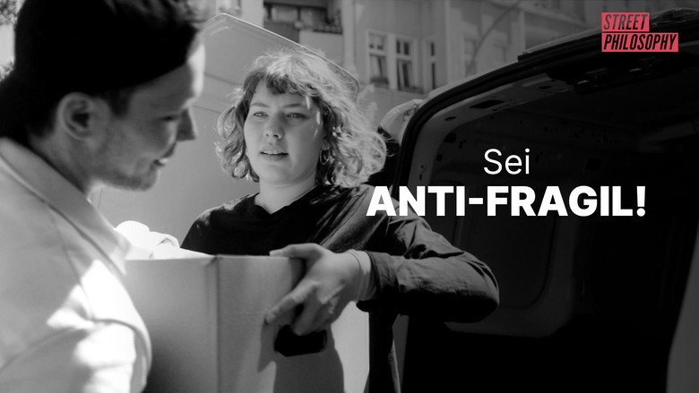Sei anti-fragil! görsel 1