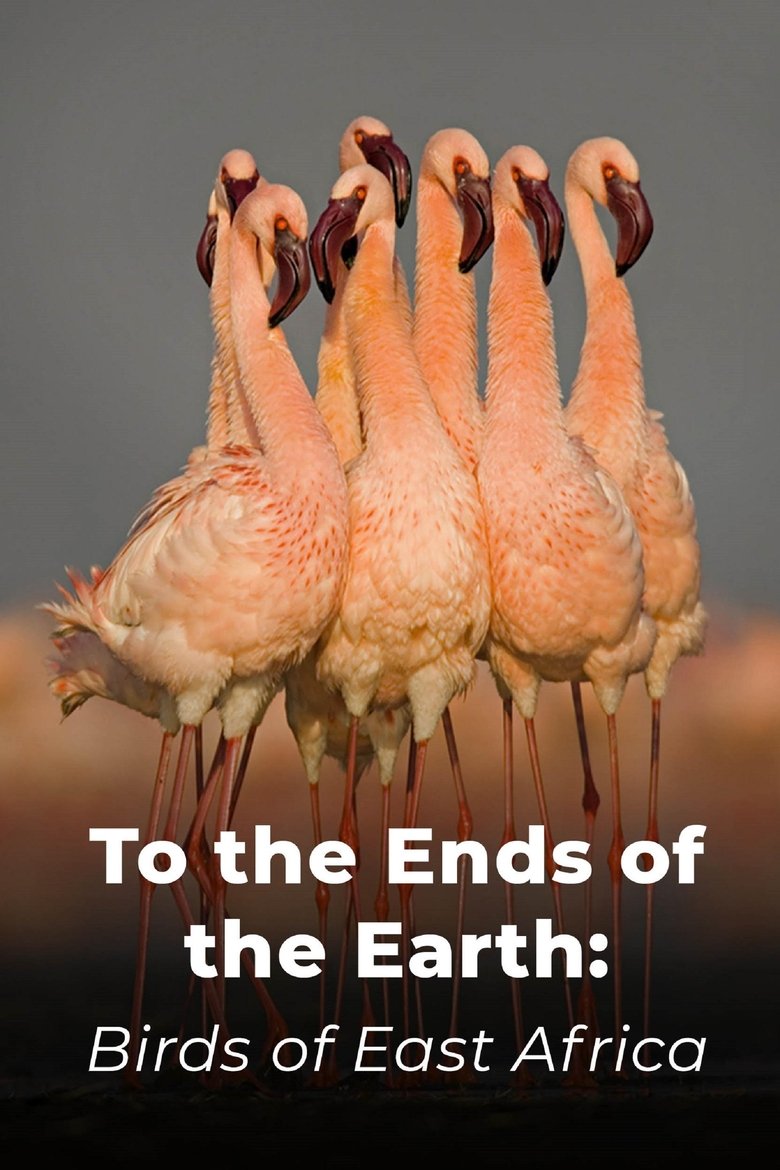 To the Ends of the Earth: Birds of East Africa main poster