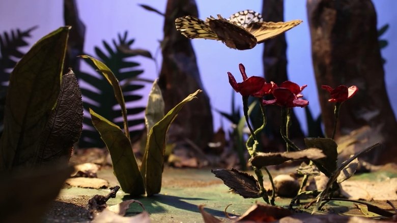 fig. VII backdrop