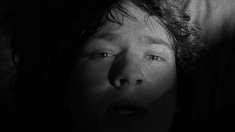 Imatge de Terms & Conditions.