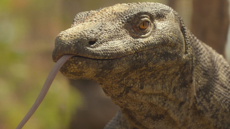 Still from Ein Planet vor unserer Zeit - Season 3 Episode 3