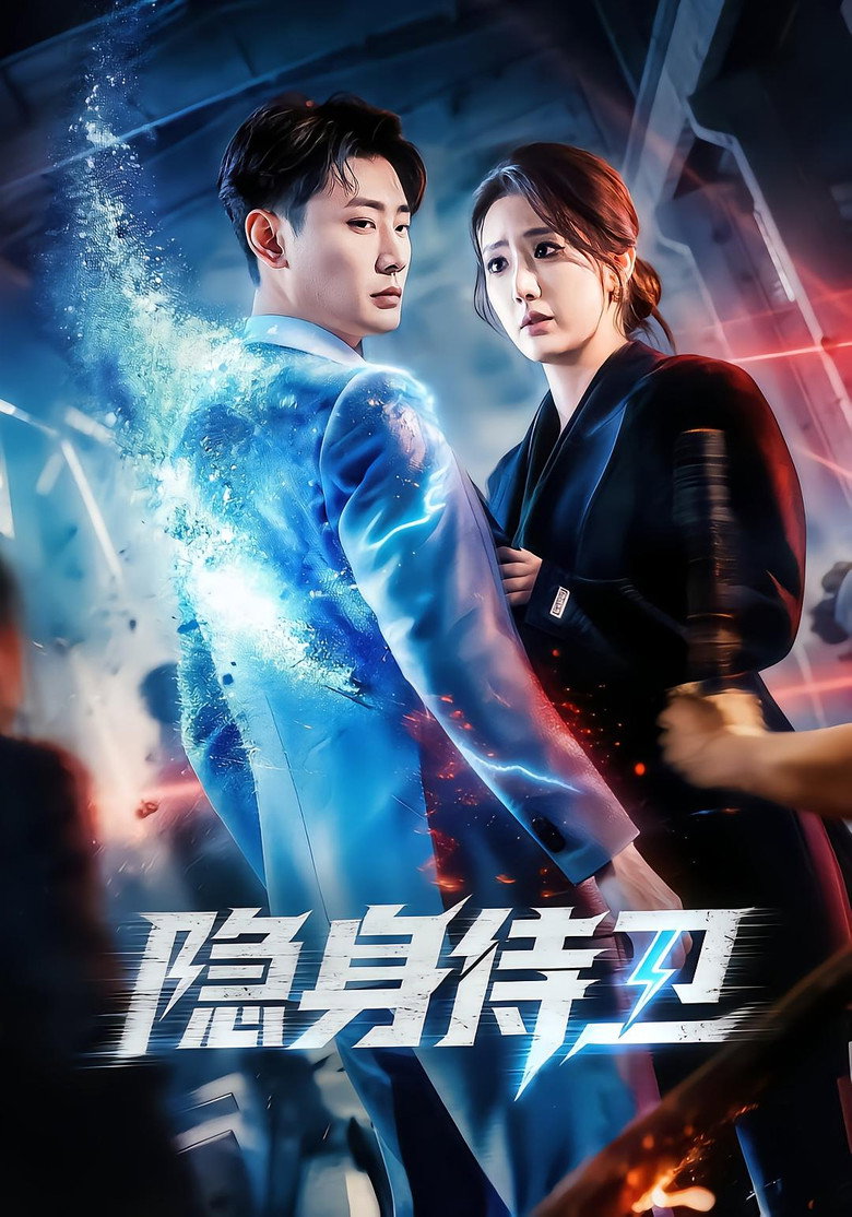 Official poster for 隐身侍卫