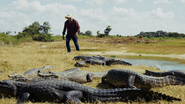 Gallery image from s5RGvW78Q4akiDoK9AtGQn5wVJZ.jpg