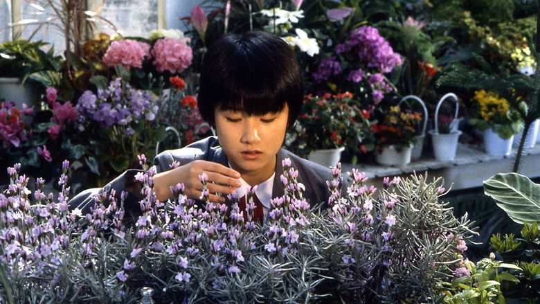 Backdrop de 時をかける女の（シリーズ）