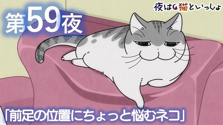 Still image for Nights with a Cat season 1 episode 59: Night 59: A Cat Who Can't Decide Where to Rest Its Forepaw