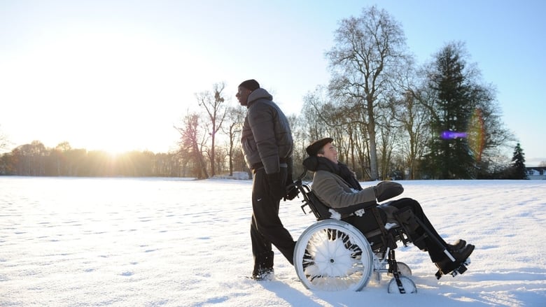 watch Quasi amici - Intouchables now