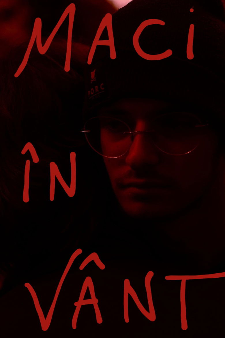 Imatge de Maci în Vânt