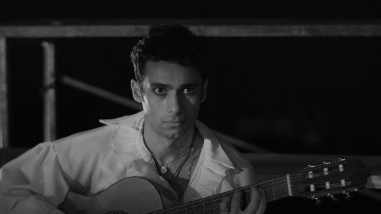 Gallery image from s8Minj4aue3JYKVk4J8Xa8hhUuL.jpg