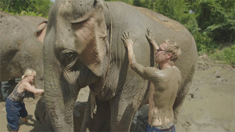 Going Wild in Thailand