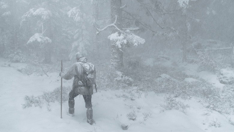 Whispers in the Woods (2025)