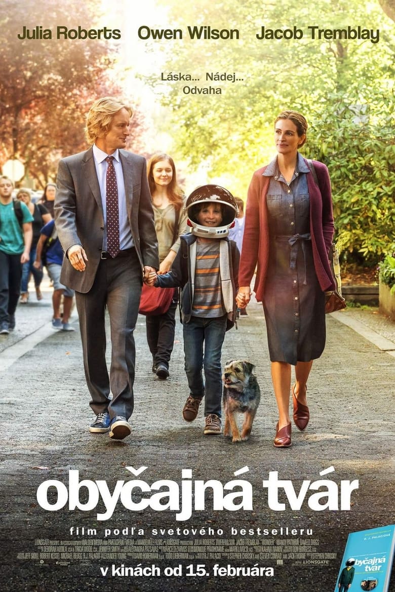 Obyčajná tvár (2017)