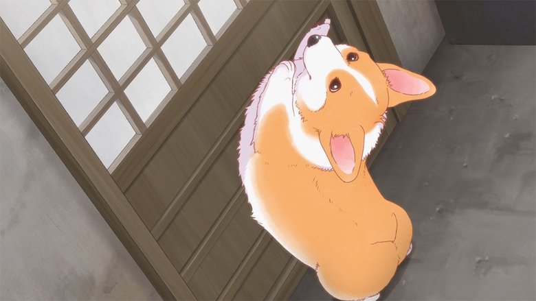 Still image for The Corgi and the Samurai season 1 episode 13: Episode 13 Still image for The Corgi and the Samurai season 1 episode 13: Episode 13