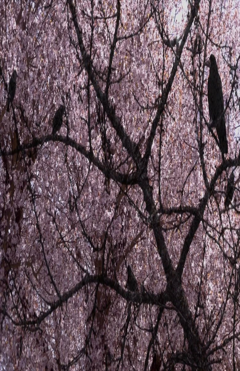 Imatge de Chronophobie