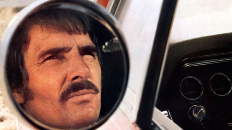 Gallery image from sA6tIc2W6uHS7mytSPscrzsIRQr.jpg