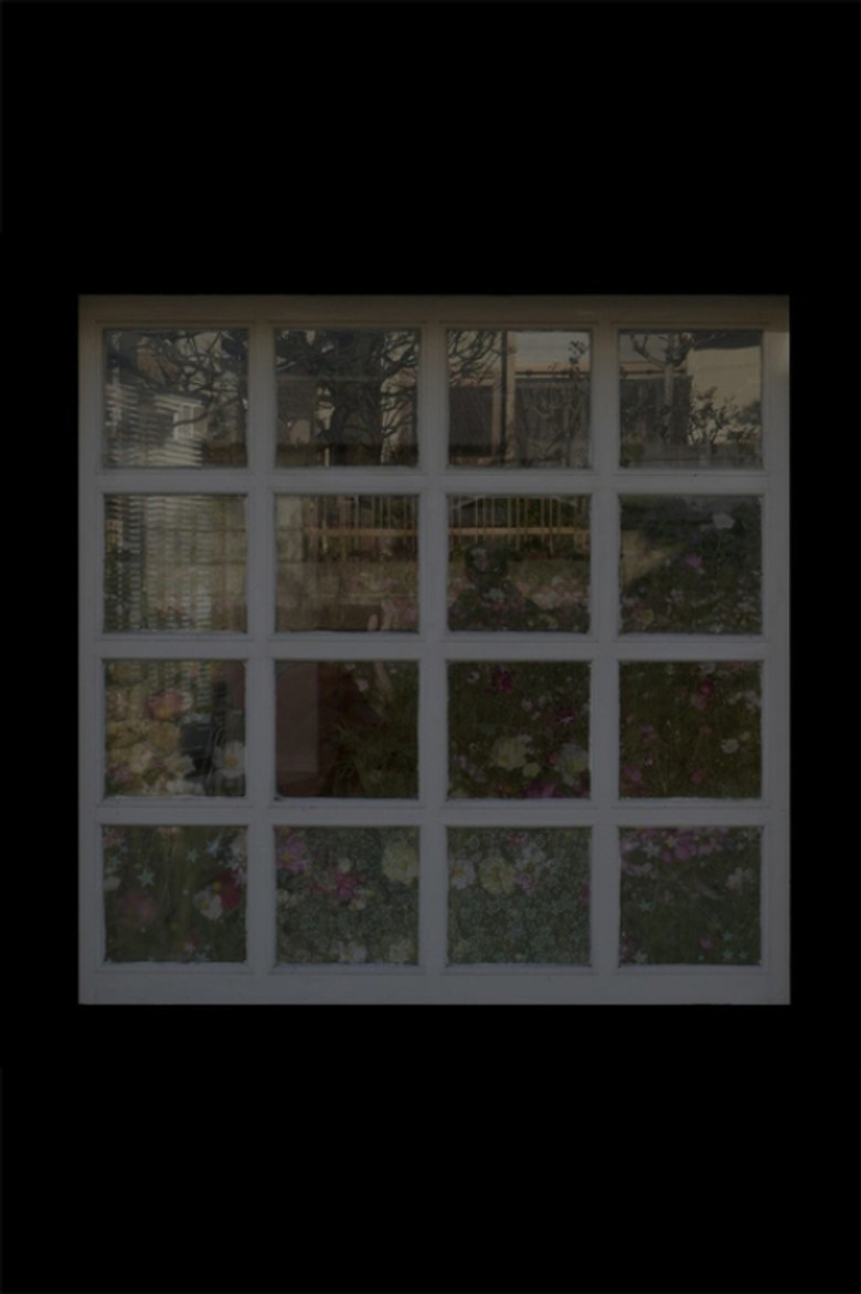 Cells and Glass background