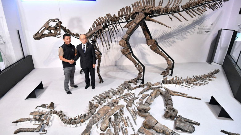 Imatge de Discovery of the Century — The Great Dinosaur of Japan