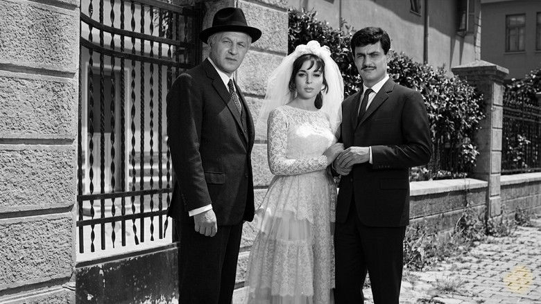 Gallery image from sBzIRNe4MK82aQyJ7fVcB6ImXli.jpg