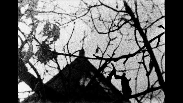 Imatge de At the Passage of Ziletia