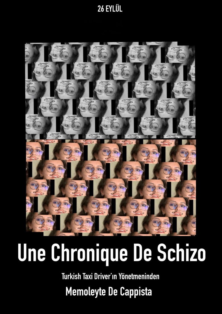 Imatge de Une Chronique De Schizio