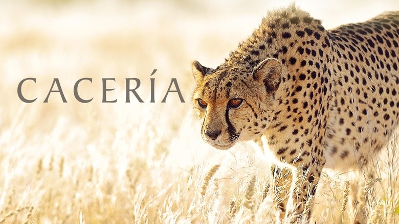 Gallery image from sDLpbzOUffoZnq29dH9akIXQ9Fh.jpg