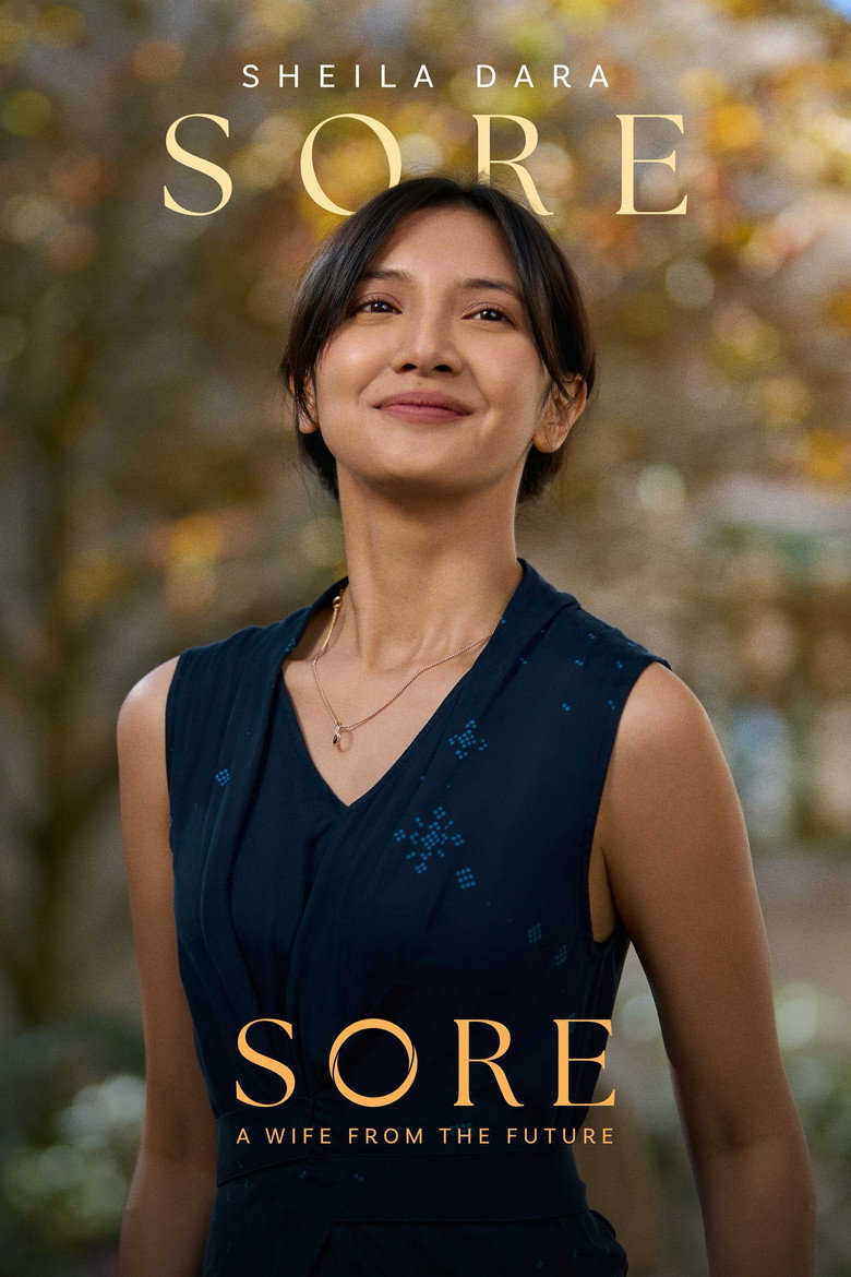 Póster la Película