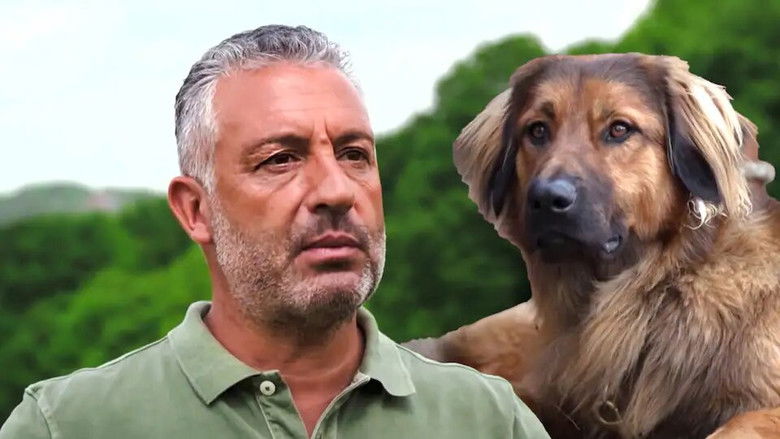 Still image for Hunde verstehen! season 1 episode 2: Episode 2