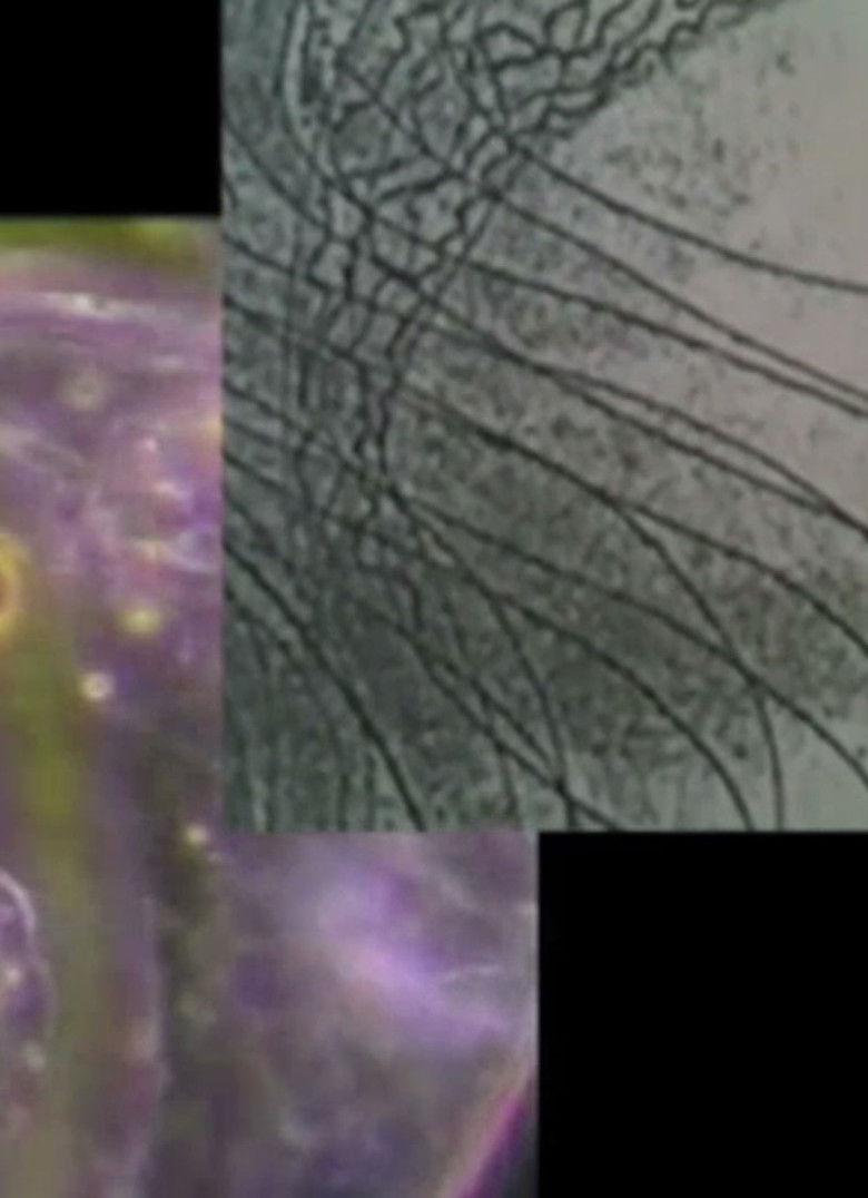 Imatge de In Search of UIQ