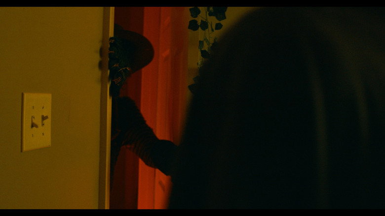 Imatge de Navy’s Garden