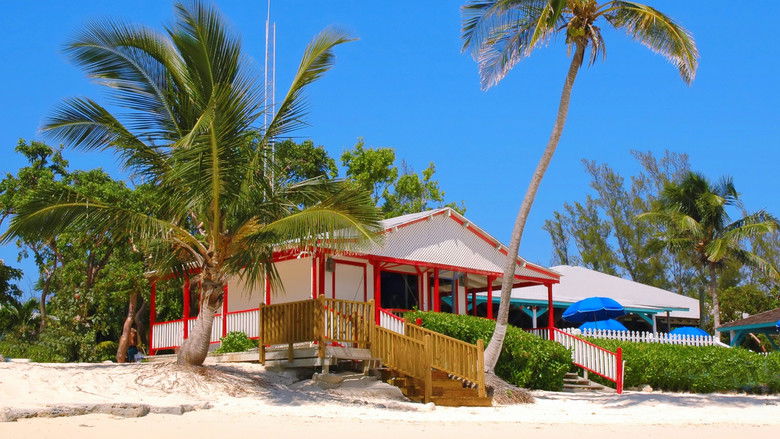 Gallery image from sG7JzNuBlLTeWGqlDCrtFvlL4RM.jpg