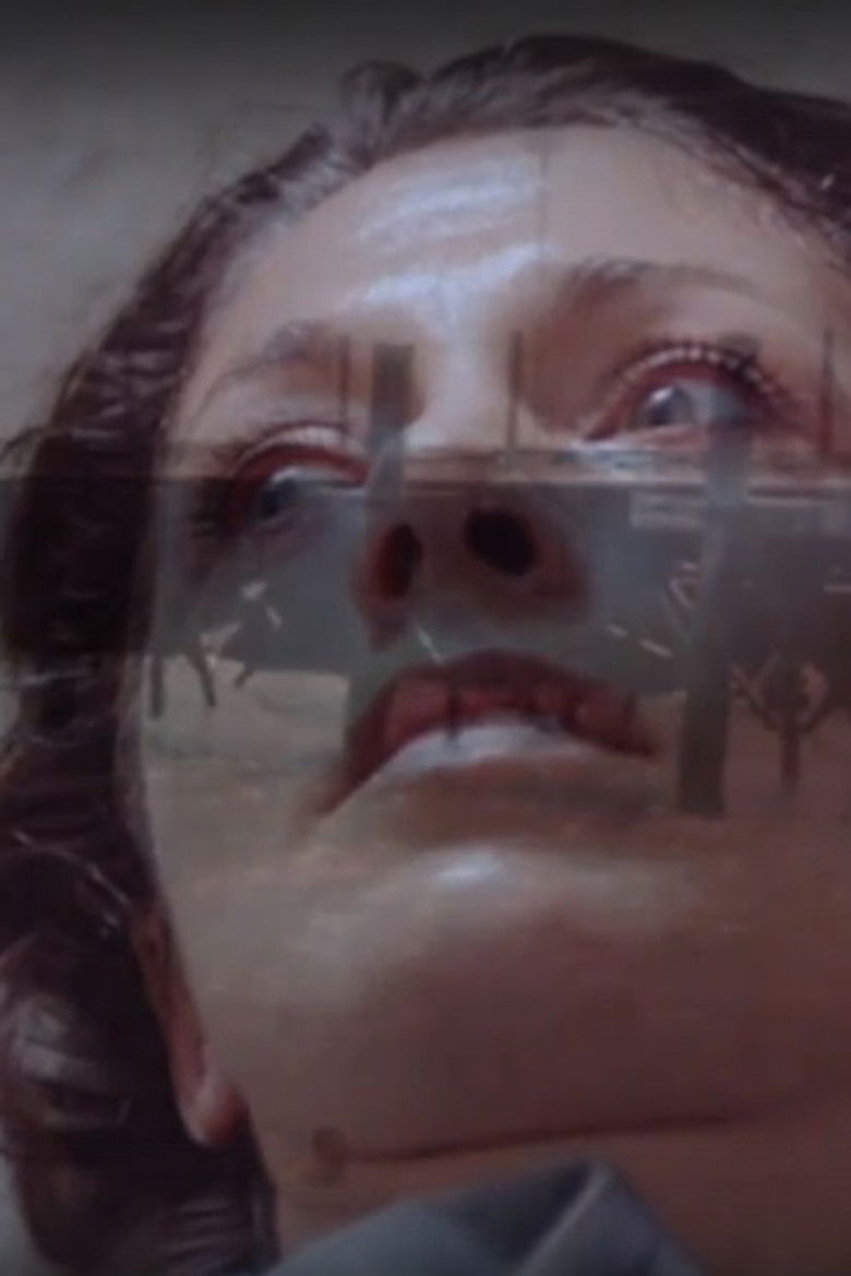 Imatge de Die Brüder