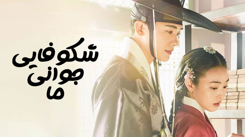 Gallery image from sGsml3oBYFrO2udk445ny0xujEJ.jpg