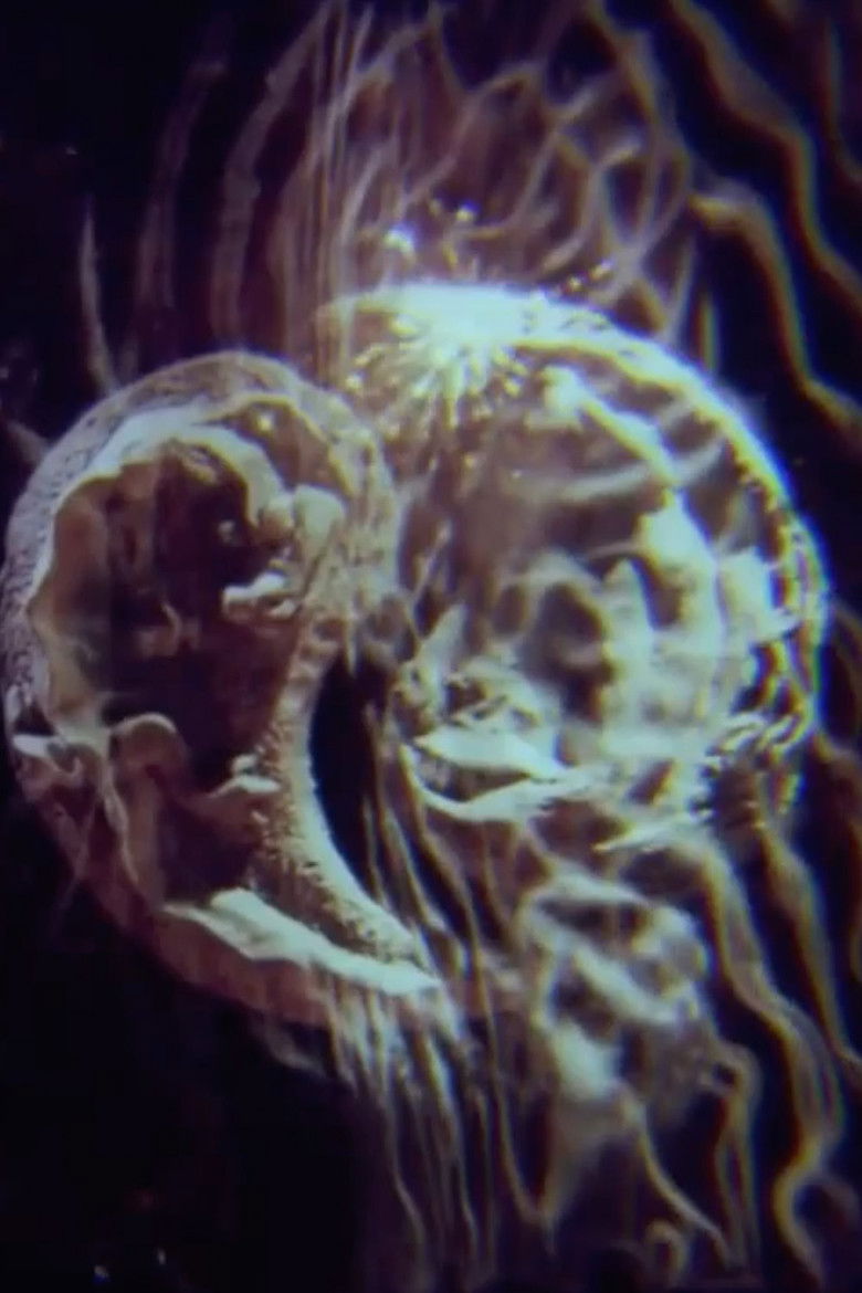 Imatge de Пещера дракона