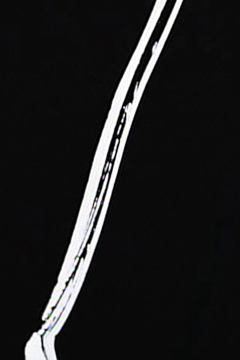 Imatge de Secret History of the Dividing Line