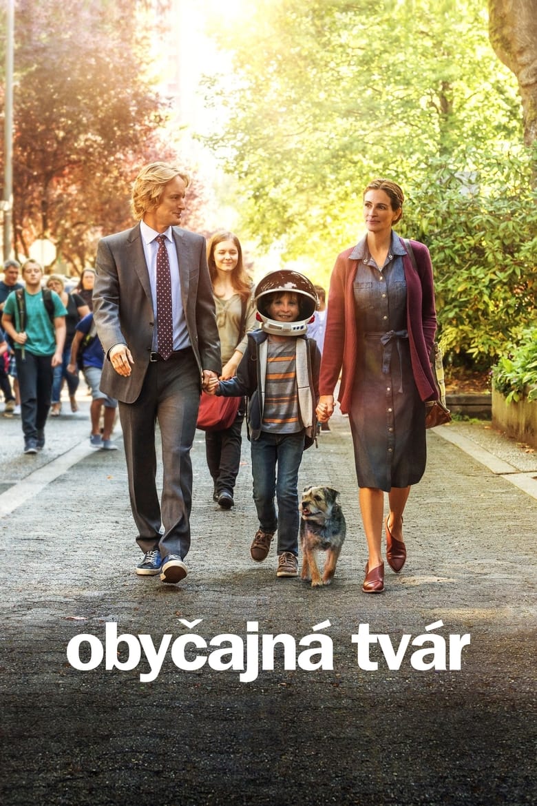 Obyčajn&aacute; tv&aacute;r (2017)