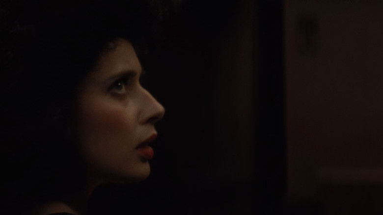 Shxvqilkfujxlznn9eerdebq9xt