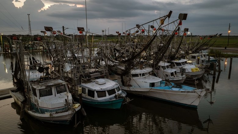 Last of the Shrimpers backdrop