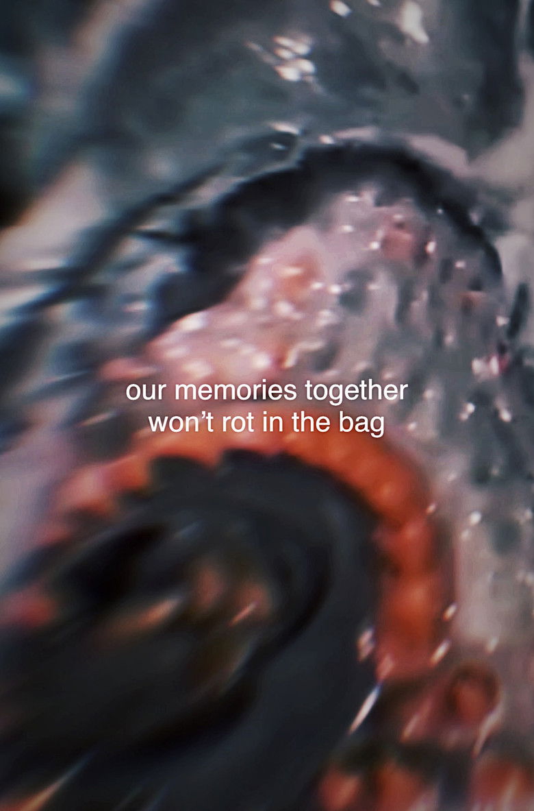 Imatge de Our Memories Together Won't Rot in the Bag