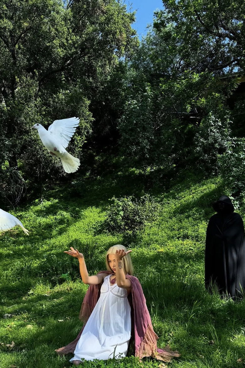 Imatge de Molly and Her Week of Wonders