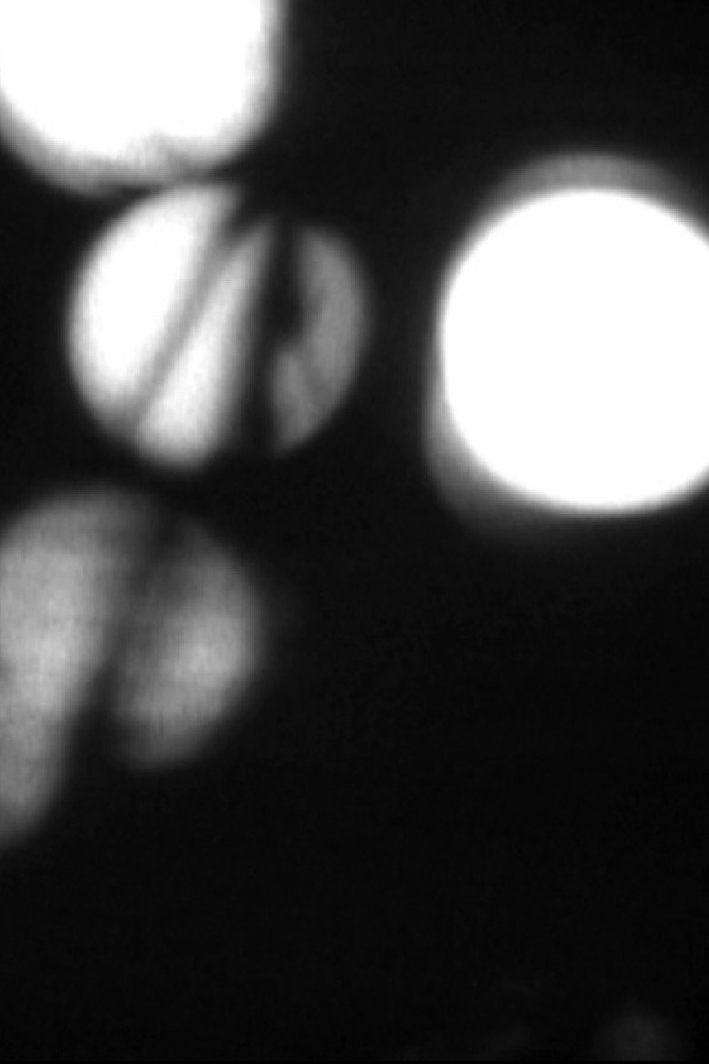 Imatge de The Image World