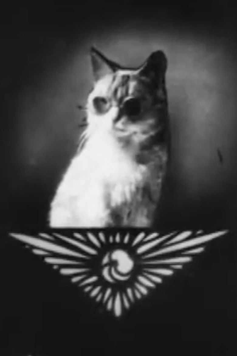 Imatge de Pussy's Glasses