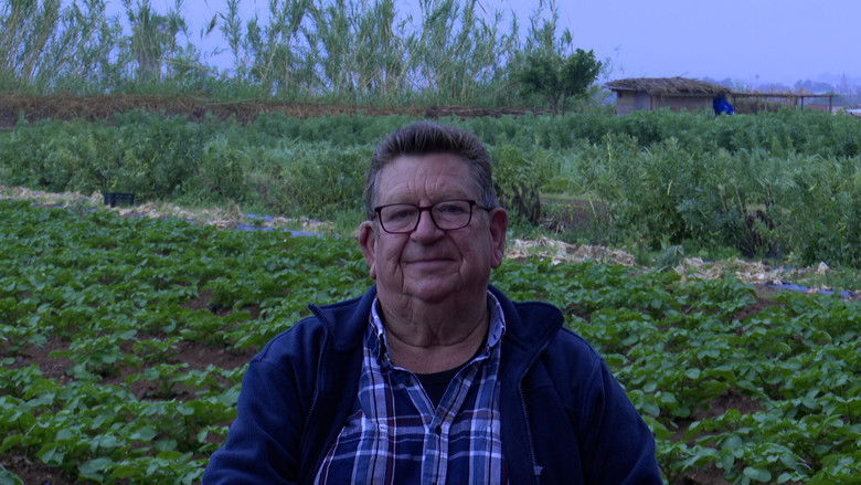 Imatge de L'horta viva