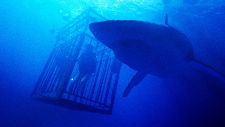 47 Meters Down