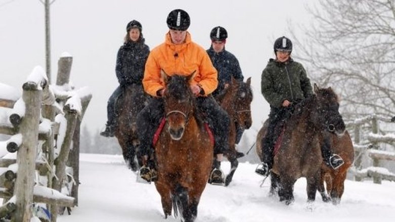 Kluci v akci Sezóna 1 Epizoda 99 bombuj