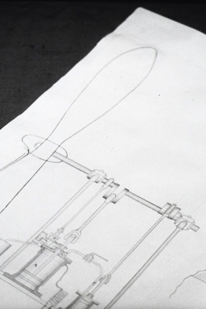 Imatge de Первые крылья