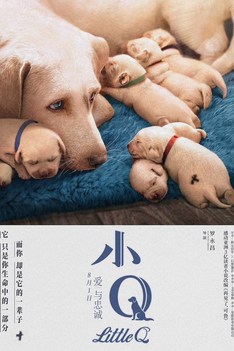 小Q 封面海报