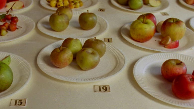 Imatge de Some Interesting Apples