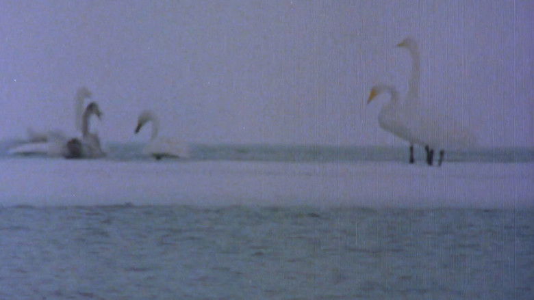 Gallery image from sKlw4ca6uTDbe2XnRS1UTiwVp3i.jpg