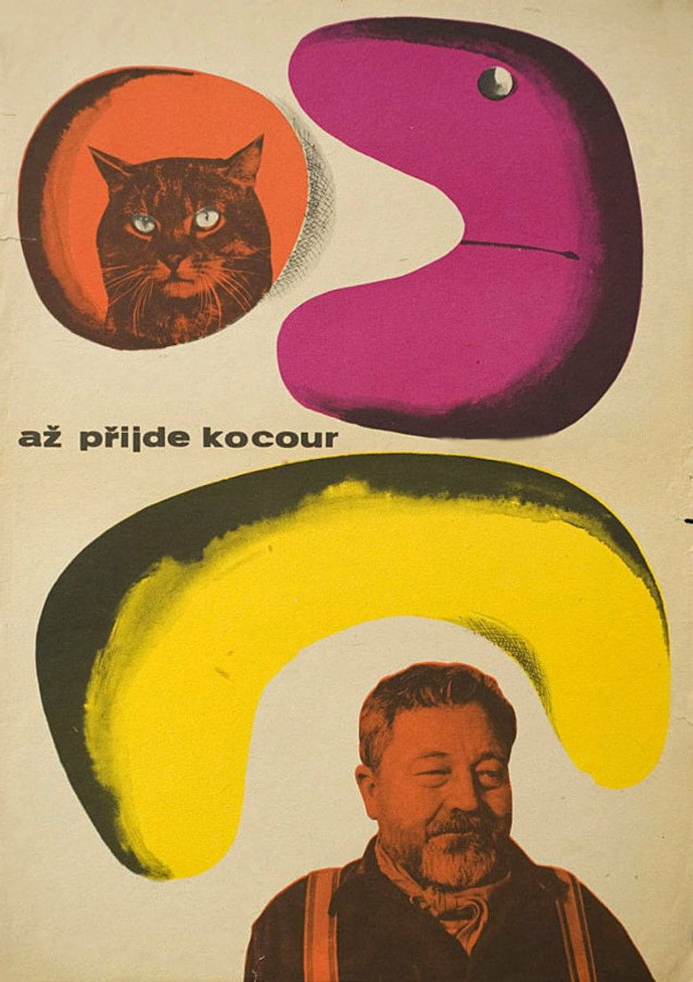Imatge de Až přijde kocour