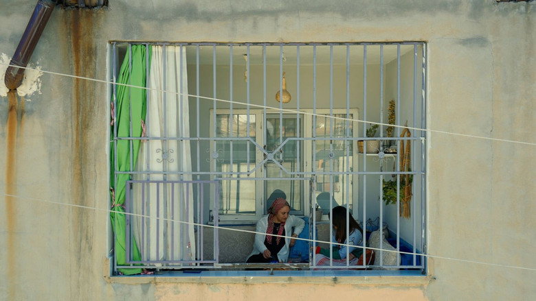 Imatge de Where am I in my story?