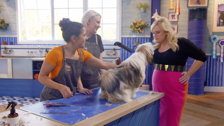 Still image for Pooch Perfect season 1 episode 2: Episode 2 Still image for Pooch Perfect season 1 episode 2: Episode 2